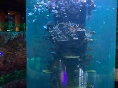 -青岛嘉年华主题乐园