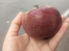 -e佳鲜果(四方坪店)