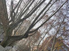 -浙江大学(玉泉校区)