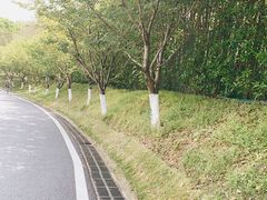 -金陵矩阵(聚宝山公园店)