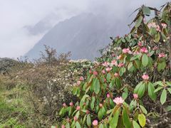 -九峰山