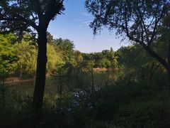 -吴淞炮台湾湿地森林公园烧烤区