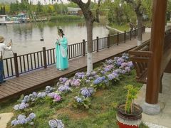 -孔子六艺文化园