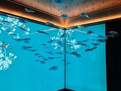 -金来·影院足道(埃美柯店)