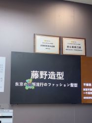 -藤野造型烫染