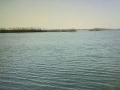 -太湖湖滨国家湿地公园-停车场