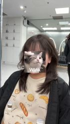 -5M HAIR SALON 旗舰店