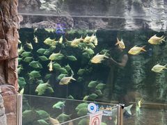 -南昌融创海世界