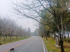 -团城山公园