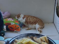 -小时光咖啡馆(北锣鼓巷店)