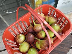 -武汉世外桃源农庄