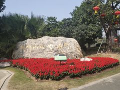 -顺峰山公园