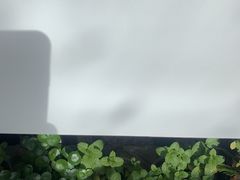 -四姑娘山阿巴郎·藏式花园餐厅