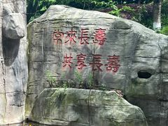 -南山植物园