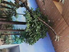 -延庆地质公园博物馆