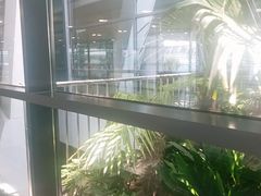 -上海浦东国际机场-T2航站楼
