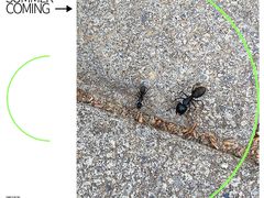 -野鸭湖国家湿地公园