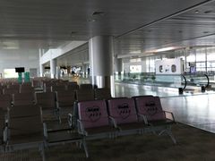 -上海浦东国际机场-T2航站楼