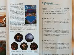 -荷兰花海