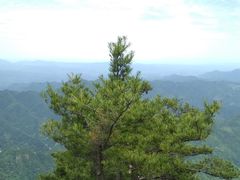 -秦岭天竺山景区