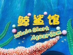 -广州长隆野生动物世界