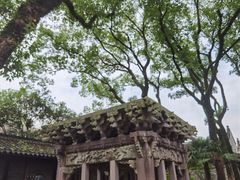 -天一阁博物院