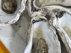 -蚝专家(北滘店)