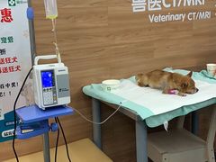 -爱侣宠医·鹦鹉专科·小型哺乳类·异宠专科(灵石路店)