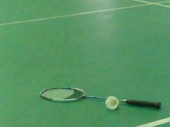 -莘城学校羽毛球馆