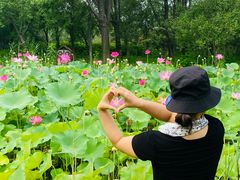 -东郊湿地公园