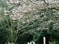 -杭州少年儿童公园