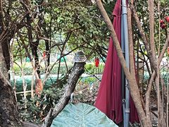 -月亮眼花园餐厅书吧酒吧