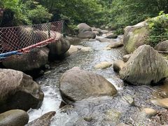 -大围山国家森林公园