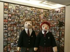 -济州岛泰迪熊博物馆