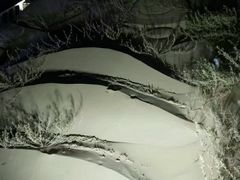 -碧海金沙