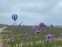 -渔岛海洋度假区