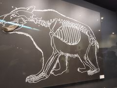 -北京周口店北京人遗址博物馆