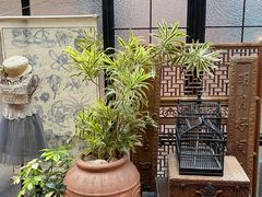 -古董花园(思南路42弄小区店)
