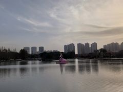 -青枫公园