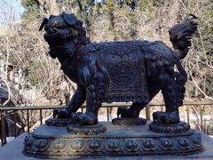 -北京动物园-畅观楼