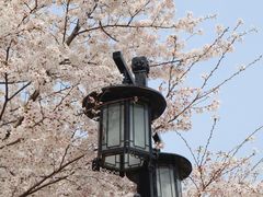 -苏州上方山国家森林公园