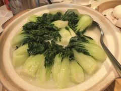 -利苑酒家(合景国际金融广场店)