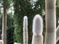 -国家植物园