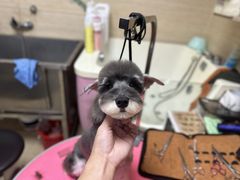 -全心全意连锁动物医院(石景山店)