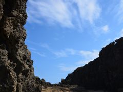 -龙坑生态保护区