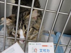 -科道动物医院·急重症中心(万达院)