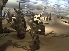 -武汉园博园(武汉自然博物馆)