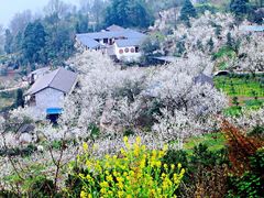 -樱桃山旅游景区