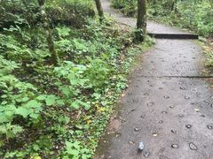 -汤旺河林海奇石景区