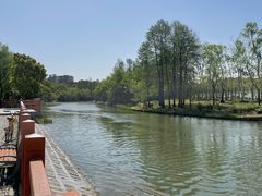 -新江湾城公园